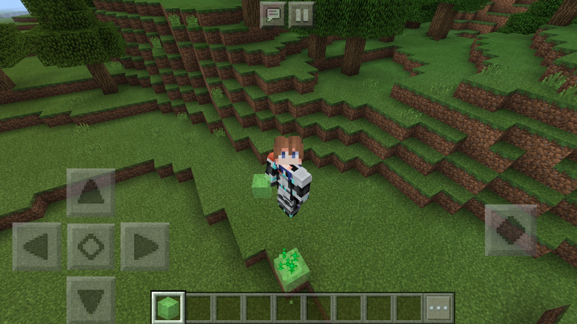 Screenshot_20180916-141456_Minecraft.jpg Screenshot_20180916-141456_Minecraft.jpg